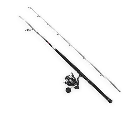 Penn Pursuit V Boat Spin Combo