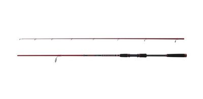 Penn Squadron III Labrax Spinning Rod