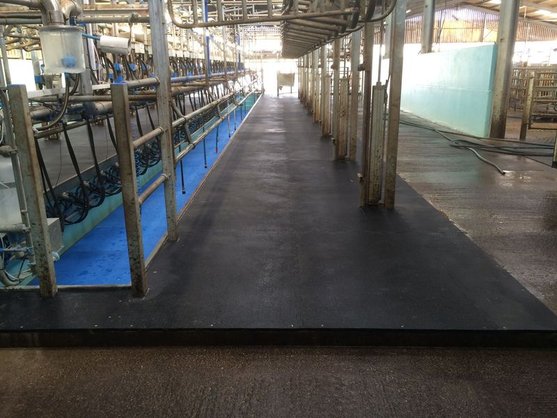 Rubber Flooring