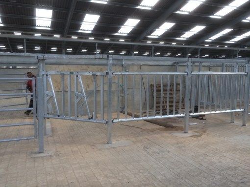 Bull Pen and Full Auto Brush Krazzmaxx