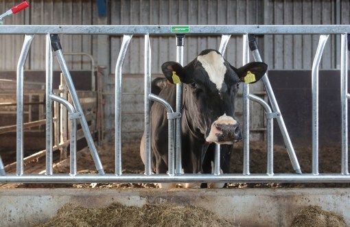 Self Locking Feed Yokes