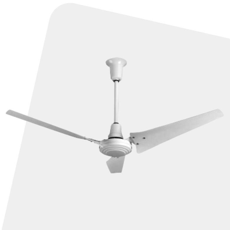 Ceiling Fans
