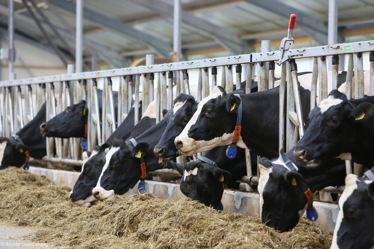 Highline safety feed front