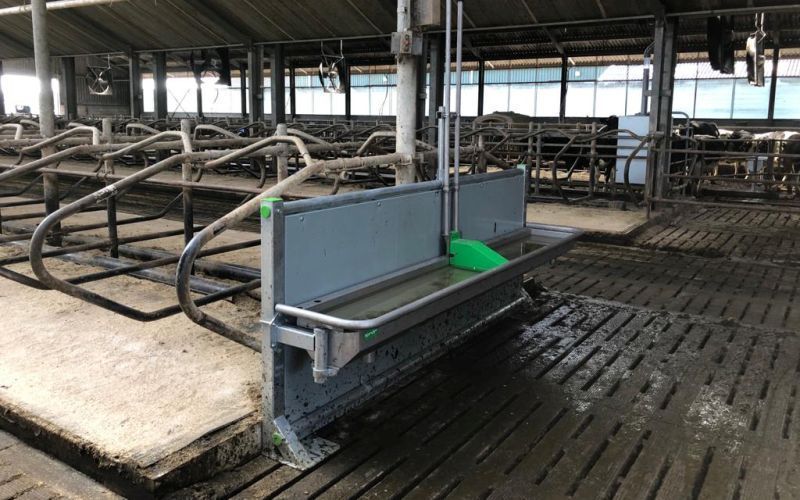 Pingo Reno drinking trough