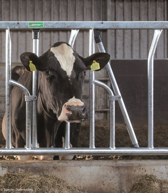 Limoline self-locking feed front