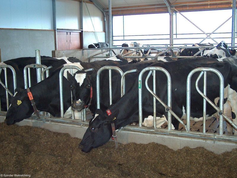 Openline self-locking feed front