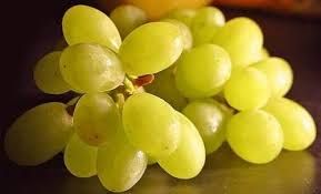 FRUTTA