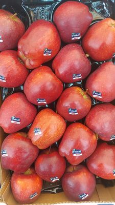 MELA RED 0,5 kg