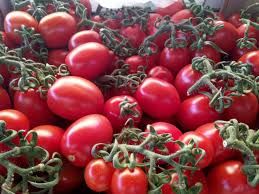Pomodoro piccadilly 0,5 kg