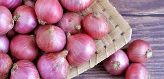 Scalogno