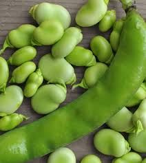 Fave fresche 0,5 kg