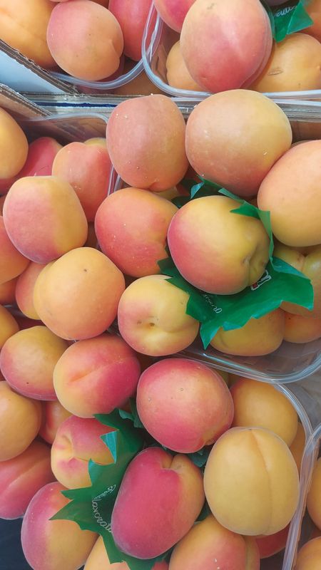 Albicocche  (primizie d'Italia) 0,5 kg