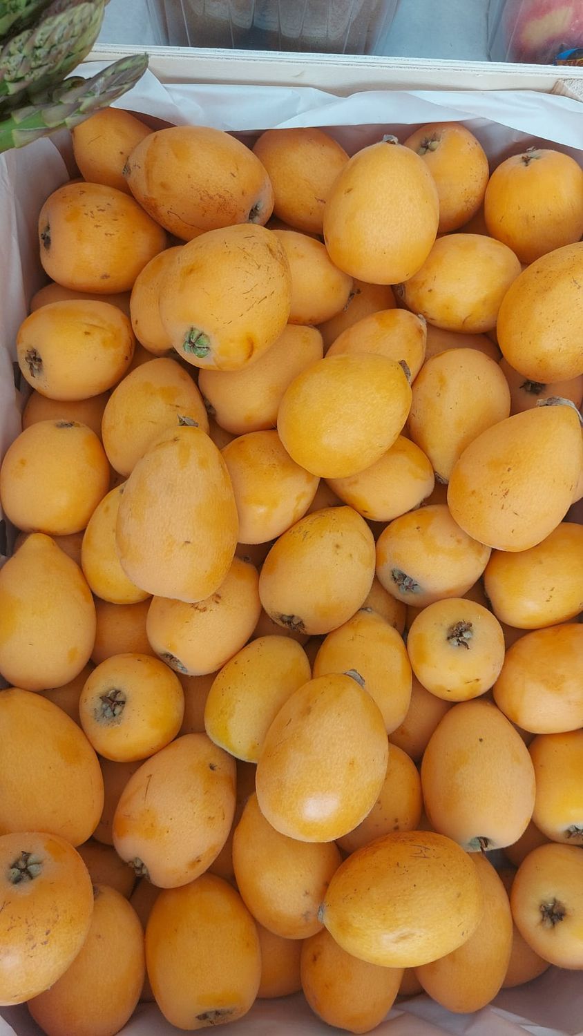 Nespole 0,5