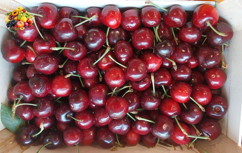 Ciliegie provenienza Italia 0,5 kg