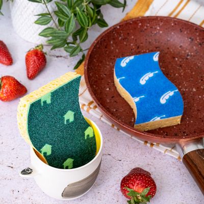 Σφουγγάρια