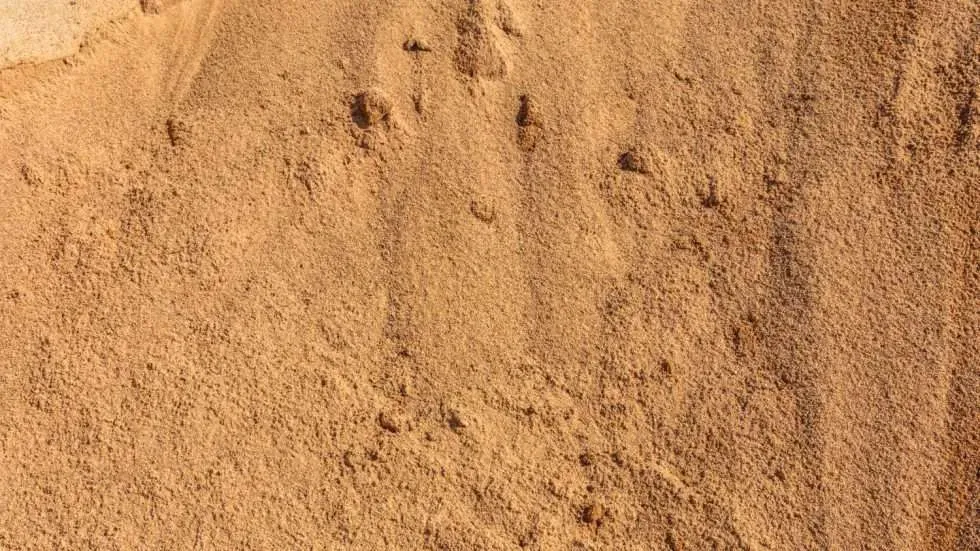FINE WASHED SAND. BRICKIES SAND