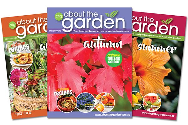 ATG Magazine - One year subscription