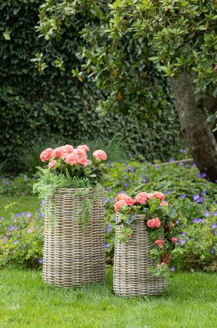 Rattan