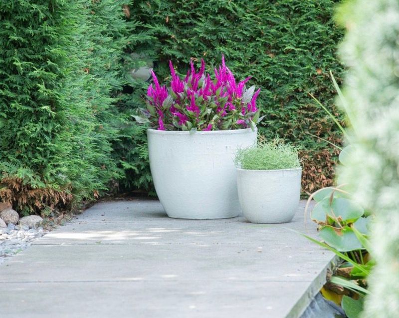Töpfe & Kübel