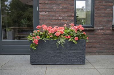 Utah Bigular S2 L60/80W30/40H30/40