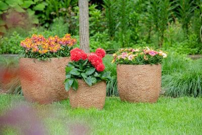 Roxy Egg Pot S4 D25/45H25/43