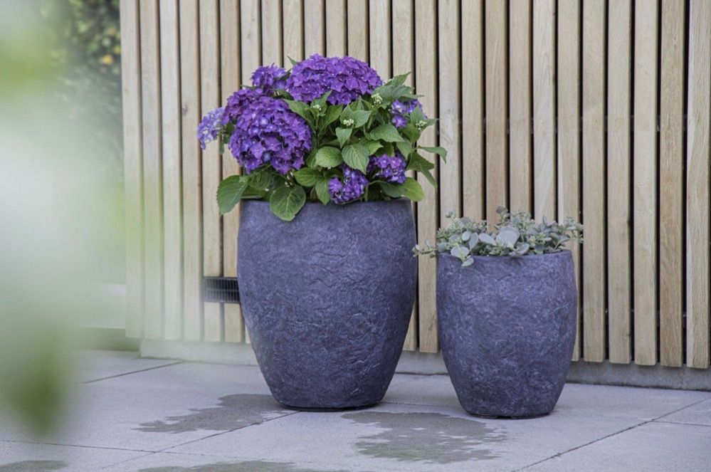 Arizona Bullet High S3 D25/44.5H28.5/50