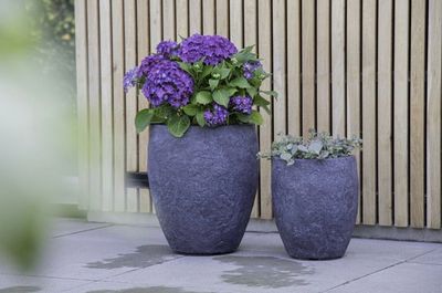 Arizona Bullet High S3 D25/44.5H28.5/50