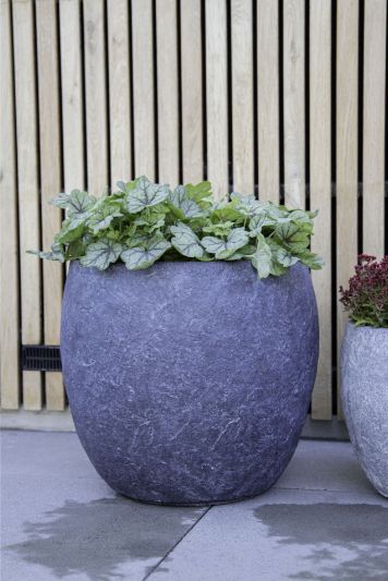 Arizona Bullet S4 D23/57H20.5/50.5