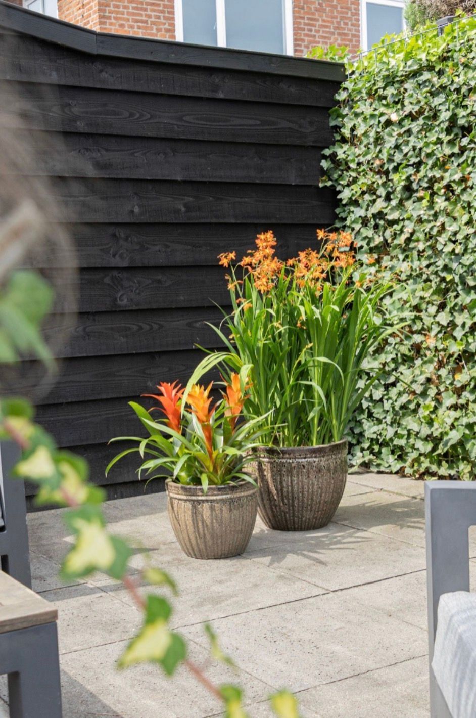 Glazed Pumpkin S3 D19/38H18/30 Glazed Pumpkin S3 D19/38H18/30