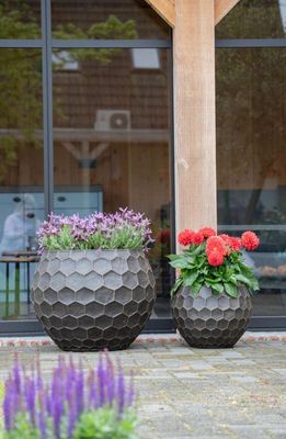 Yara Bowl S2 D40/62H32/48