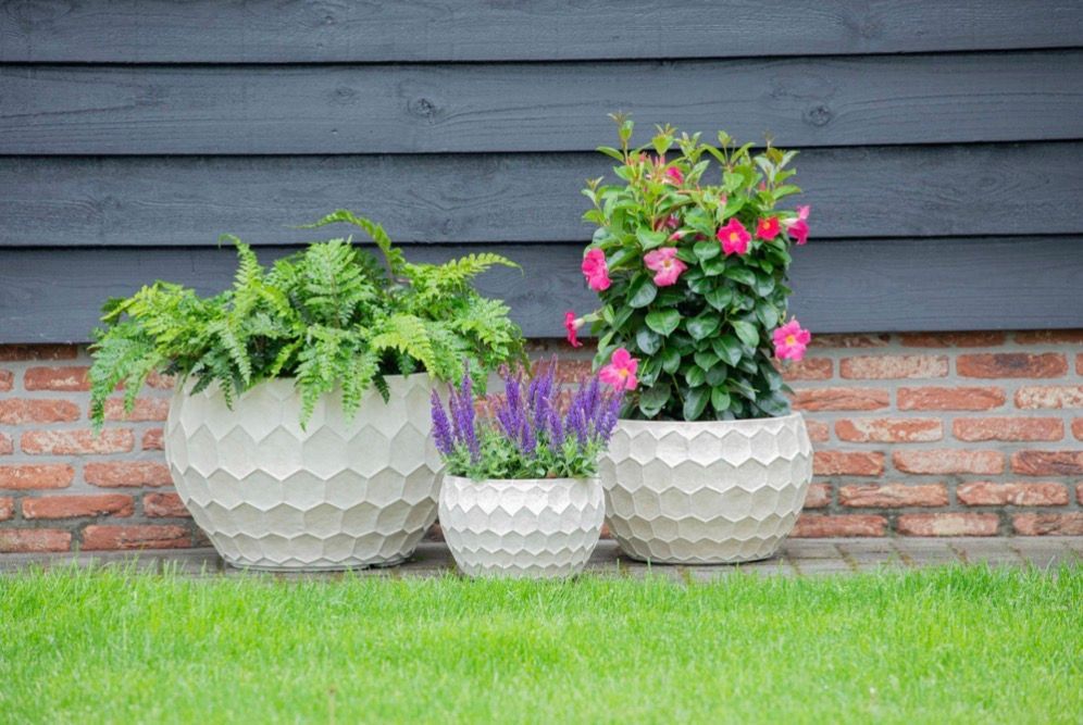 Yara Bowl S3 D31/56H19.5/36.5