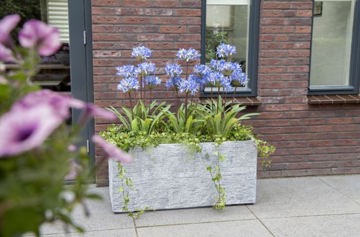 Utah Bigular S3 L60/100W30/45H30/45