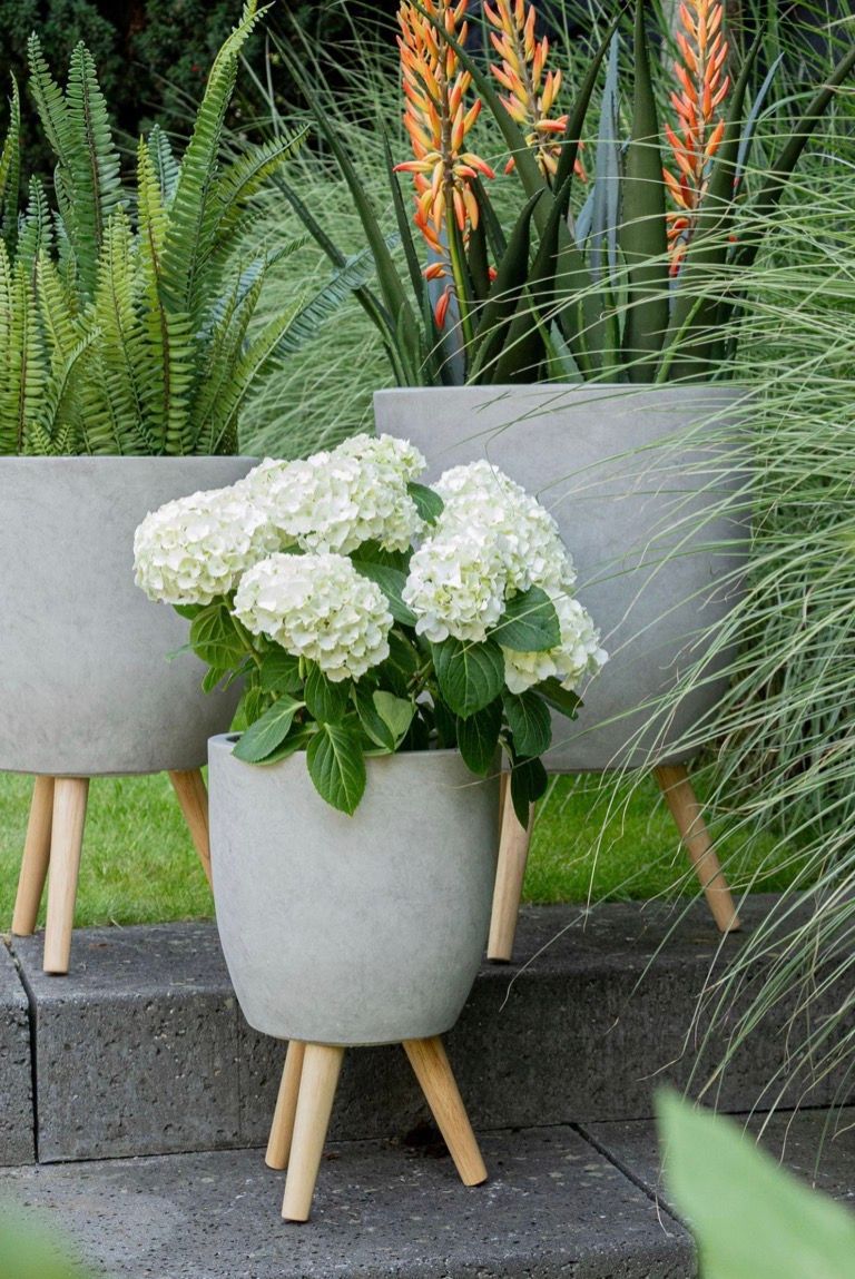 Clayfibre Leggs Egg Pot S3 D25/39H41/58