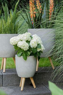 Clayfibre Leggs Egg Pot S3 D25/39H41/58