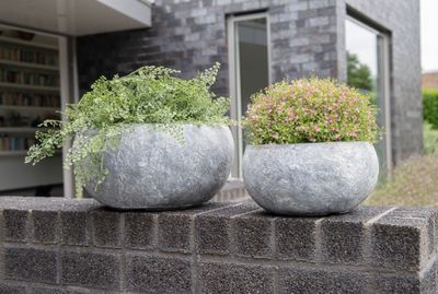 Arizona Bullet Bowl S3