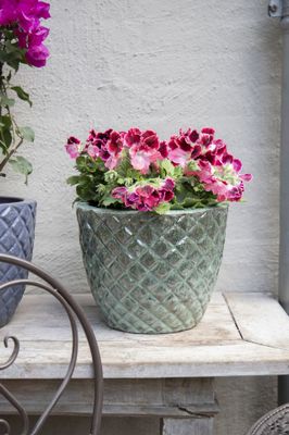 Glazed Egg Pineapple S3 D22/38H18/30