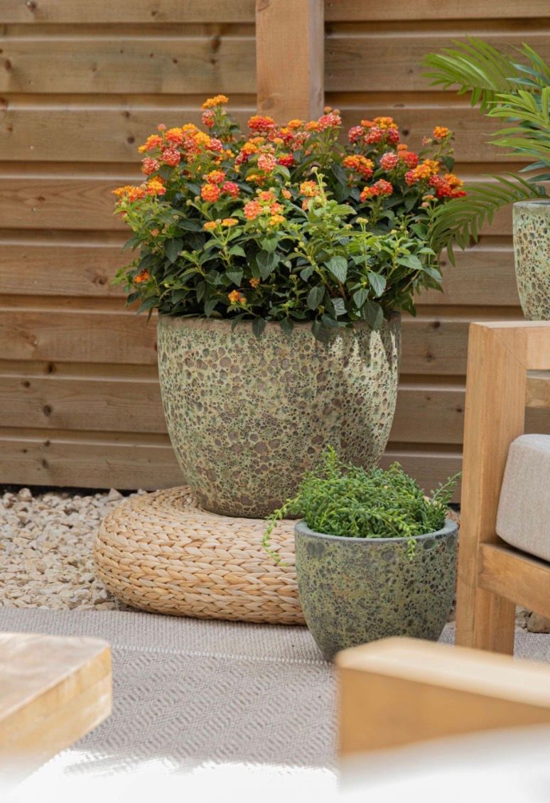 Antique Egg S3 D23/38H19/31 Antique Egg S3 D23/38H19/31