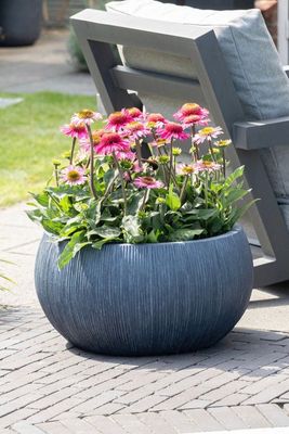 Nora Bullet Bowl S3 D31/56H15.5/28