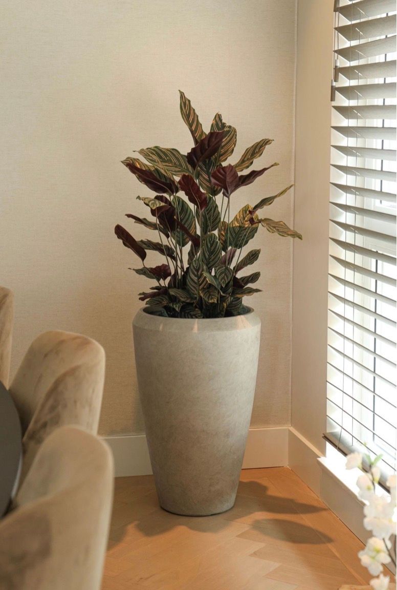 Mila Vase S2 D44/56H68/86