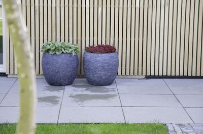 Arizona Bullet S3 D23/44H20.5/39