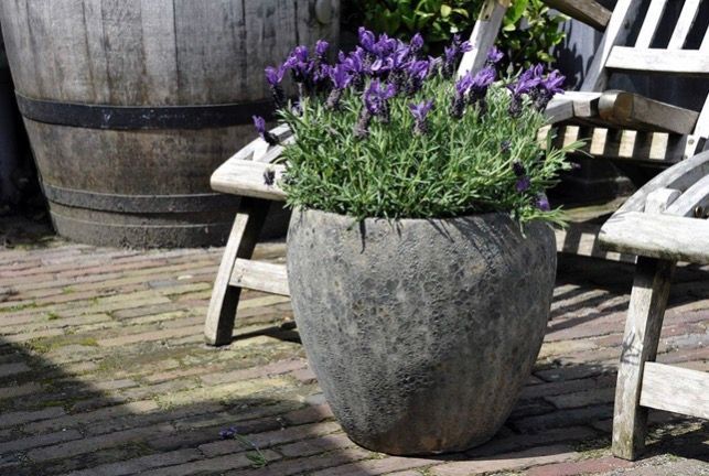 Antique Belly S3 D28/47H25/44 Antique Belly S3 D28/47H25/44