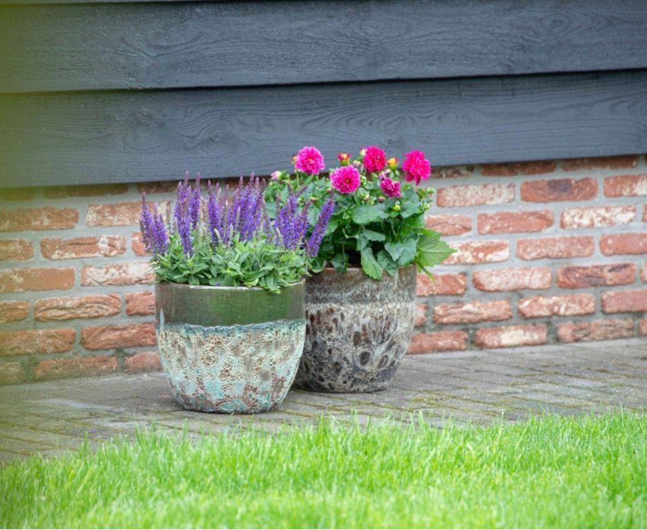 Antique 2Tone Belly S2 D34/48H38/53 Antique 2Tone Belly S2 D34/48H38/53