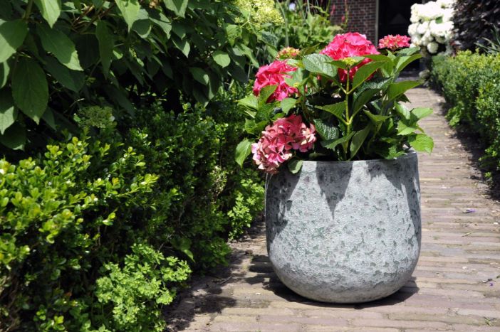 Antique Low Bullet S3 D31/50H30/48 Antique Low Bullet S3 D31/50H30/48