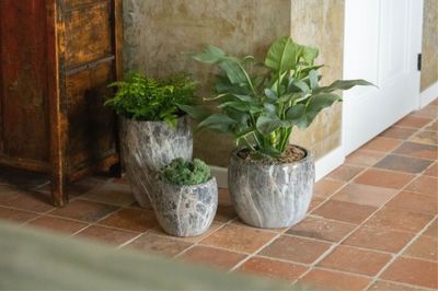 Emperor Belly Pot Brown S3 D20/37H19/30