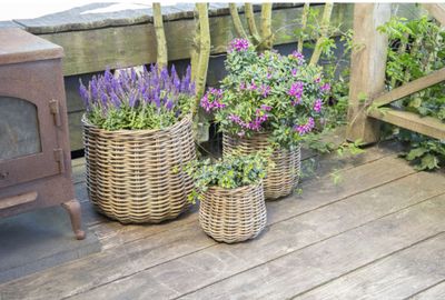 Loni Cauldron -F- Natural S3 D25/44H23/40