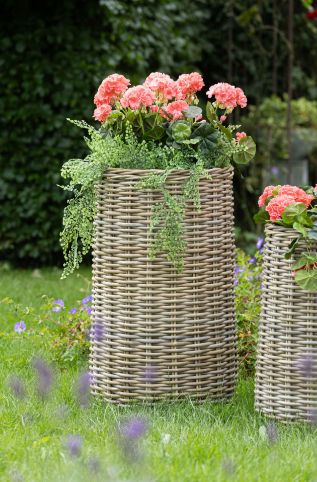 Evi Cauldron High -F/SP- S4 D25/55H43/94