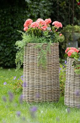 Evi Cauldron High -F/SP- S4 D25/55H43/94