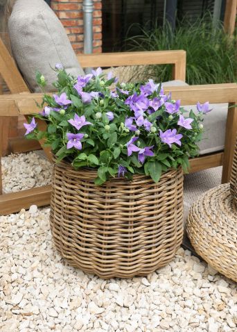 Evi Cauldron -SP- Natural S3 D25/44H23/40