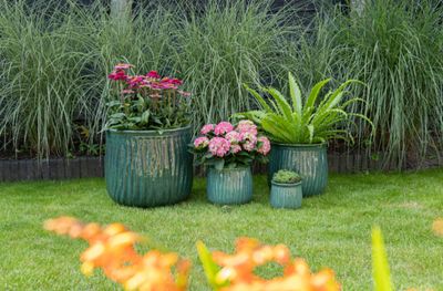 Portly Cauldron Wave S4 D18/50H17/45