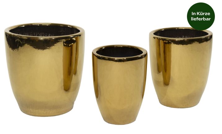 Emperor Egg High Gold S3 D26/39H35/42 Emperor Egg High Gold S3 D26/39H35/42